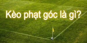 keo-phat-goc-la-gi-1