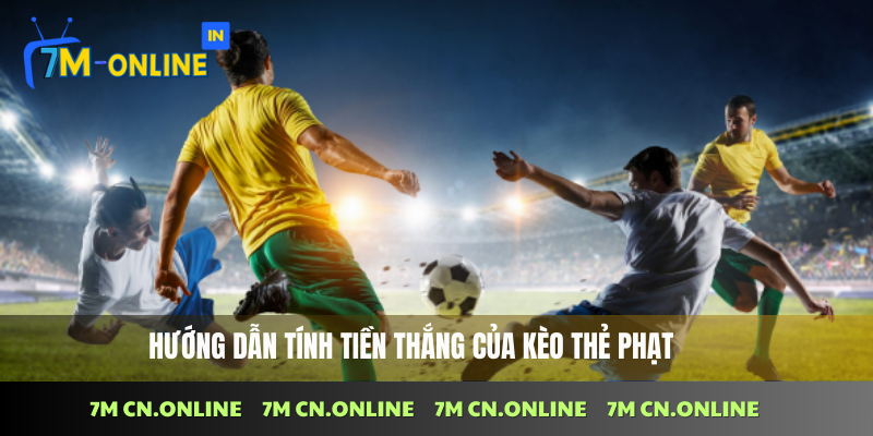 Hướng dẫn tính tiền thắng của kèo thẻ phạt